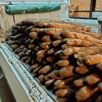 長芋　種芋　長野産　10kg 長芋10kg ｜ 野菜/長いも・山いも 産直アウル 農家・漁師など生産者