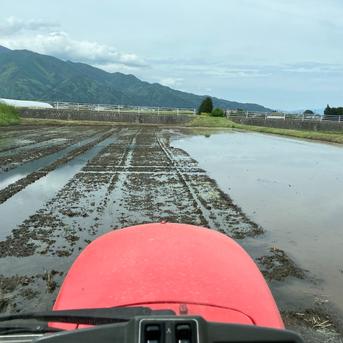 令和7年産新米風さやか 炊飯食味値87点極上米 玄米10kg 美味しいお米