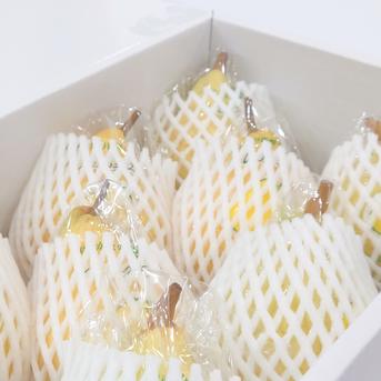 ル・レクチェ 青秀品  小玉 2kg【たかはし果樹園謹製】 約2kg(8個入り) 果物/梨通販