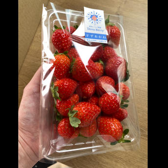 【専用】いちごさま いちこさま 確認用