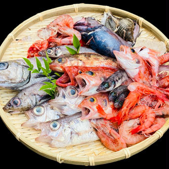 5月先行販売【ガチャ！】何が入っているかわからないおかず1セット 1ケース2kg ※氷含みます 魚介類/魚介セット・詰め合わせ通販