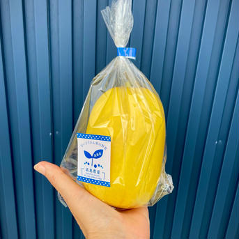 なつかしい味☆湖国の黄まくわ 黄まくわ　M3玉 果物/その他果物通販