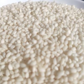 6周年限定 ヒメノモチ白米10kg 水源の町の神主さんのつくったマジメ