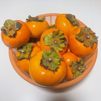 訳あり】群馬県産 甘柿 次郎(じろう)柿 無農薬 3kg | 果物/柿 産直