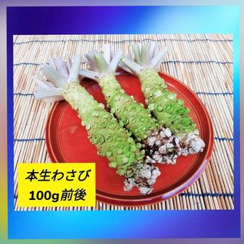 小さめ本生ﾜｻﾋﾞ_100g前後(訳ｱﾘ)お得,お試し,おまかせ 本生ﾜｻﾋﾞ【100ｇ】前後 野菜/薬味通販