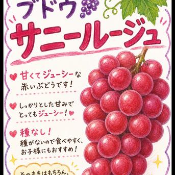 カナダ人農園主の真心を込めた】サニールージュと安芸クイーン
