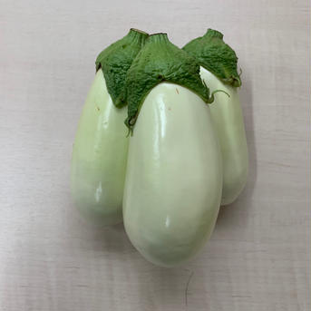 🤍とろーり!?ホワイトナス🤍３月中に一旦栽培を終了します。 5本入り 野菜/茄子通販