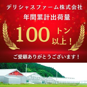 【訳あり★お買い得】マイルド麗月3kg ｜ 野菜/トマト 産直アウル 農家・漁師など生産者から直接野菜などの食材を購入できる産地直送の宅配通販サイト