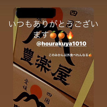 まもなく最終販売‼️6箱出‼️SP超！真穴みかん赤秀SS激うま約10k 真穴みかん 商品一覧 - 産直だより - 売れ筋通販 - Yahoo!ショッピング