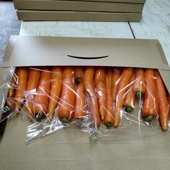 愛情たっぷり育てた寒締めミニ人参350g×2袋★パチャママ農園 ミニ人参700ｇ 野菜/人参通販
