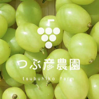 ハリ艶‼︎シャインマスカット【長野産】【クール便】 | 果物/ぶどう