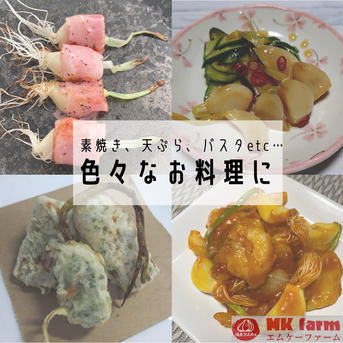 満点にんにく（発芽にんにく）冷蔵便で発送します！お得な群馬県産満点にんにく50本（10本入り5袋） お得な群馬県産満点にんにく50本（10本入り5袋） 野菜/にんにく通販