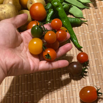 五味農園のお野菜箱 1.5kg程度 野菜/野菜セット・詰め合わせ通販