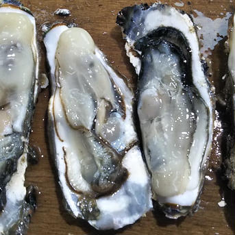「旬」到来！　バラ牡蠣 5kg　生食OK 新物バラ牡蠣　５kg  魚介類/牡蠣通販