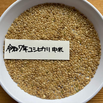 令和七年新潟県産コシヒカリ中米 | 米・穀物/米/精米 産直アウル 農家