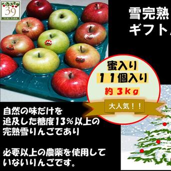 青森りんご「大人気」「糖度１３%以上保証」蜜入り希少雪完熟葉とらずサンふじ、王林ミックス約３kg１１個入り 約３kg 果物/りんご通販
