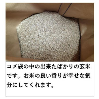 玄米（約10kg）秋田のあきたこまち【令和7年産】 | 米・穀物/玄米