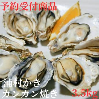【お届日時指定OK!】三重県産 浦村かき カンカン焼き（殻付き Mサイズ 約40～50個前後、約4キロ目安）【生牡蠣】【生食用】真牡蠣 生牡蠣 牡蠣 カキ かき OYSTER オイスター 海鮮 貝類 BBQ バーベキューに 贈り物 お歳暮 お祝い 誕生日プレゼント 母の日 約3.3～4.0Kg前後 魚介類/牡蠣通販