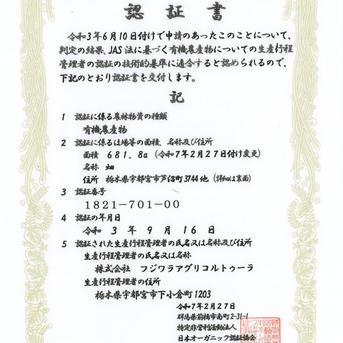 野菜カレーセット1.8kg☆有機JAS認証☆ 野菜カレーセット 野菜/野菜セット・詰め合わせ通販