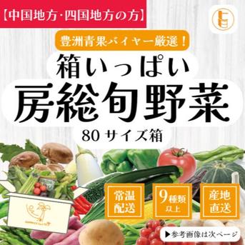 【中国地方・四国地方へ配送の方】80サイズ箱いっぱい房総旬野菜詰め合わせ（80サイズ箱） 80サイズ箱いっぱい 野菜/野菜セット・詰め合わせ通販