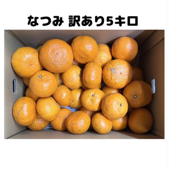 ☆木下さんちのなつみ☆『訳あり5キロ×2箱』 なつみ 訳あり5キロ×2箱 果物/オレンジ・その他みかん通販