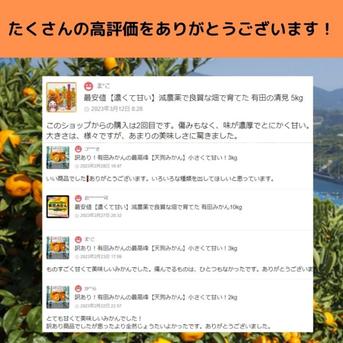 甘すぎる有田みかん 最高級 4kg 少農薬 地元から愛される新品種YN26 4kg 果物/温州みかん通販