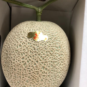 旬屋クイズ正解者専用 1.7kgの〜2.2kg以内　２玉入り🍈 果物/メロン通販