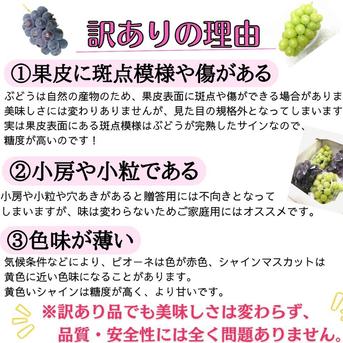 【訳有り】シャイン＆ピオーネ2kg箱 2kg 果物/ぶどう通販