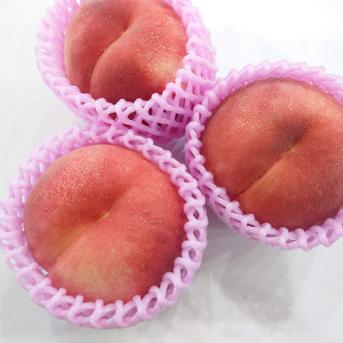 大きくて甘い桃 なつっこ L玉以上 約1.7kg【クール便】 ｜ 果物/もも