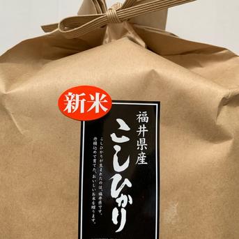 新米令和8年産 福井県産こしひかり2kg ｜ 米・穀物/米/精米 産直