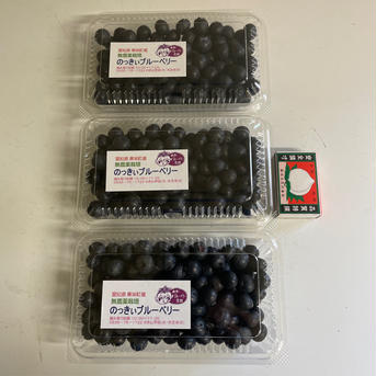 選別済生完熟ブルーベリー200g×3パック 200g×3パック 果物/ベリー類通販