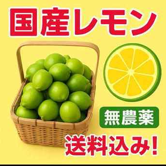 ✏おいしい野菜研究室✏レモン10kg 農薬不使用！】 国産レモン 10kg ｜ 果物/香酸柑橘(ライム・レモン等