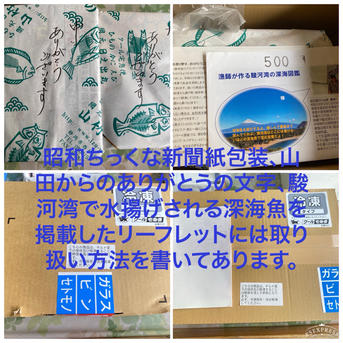 【敬老の日ギフト】おまけ付き！用途に応じてトロえびを満期‼️トロえび大・中セット トロえび大1 ×トロえび中1 魚介類/エビ通販