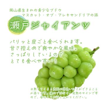 瀬戸ジャイアンツ2房（農家直送） G-1 花笑み農園 岡山の『瀬戸ジャイアンツ』1kg（2房）【9/27～順次