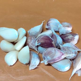 噂の...香川県産✨乾燥にんにく✨バラ箱込4kg 箱込4kg 野菜/にんにく通販