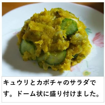 カボチャ べにくり(約20kg）赤色鮮やかな栗風味かぼちゃ！ ｜ 野菜