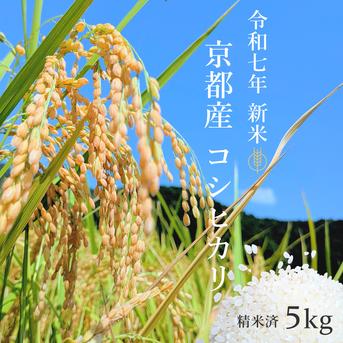農家直送 20キロ 玄米 令和7年産コシヒカリ 新米【 玄米 】 5kg