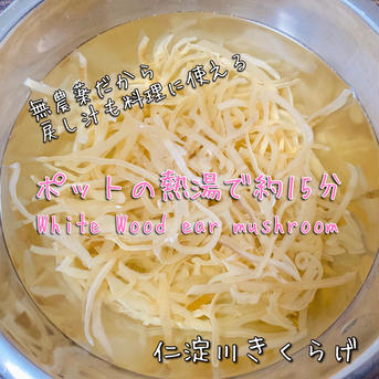 《新商品》高知県産『白あらげきくらげスライスタイプ/80g』 80g×1袋 野菜/野菜の加工品通販