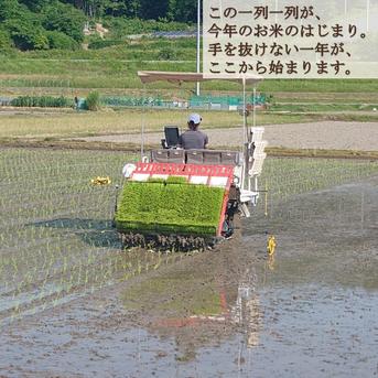 令和8年産 岡山県産 にじのきらめき 20kg 玄米 ｜ 米・穀物/玄米 産直
