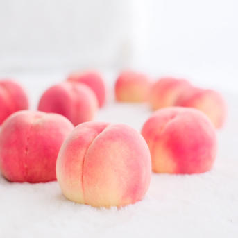 硬いもも23キロ 硬いもも23キロ 硬いもも23キロ 楽天市場】硬い桃（総重量（果物