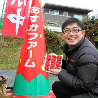 【そのまま食べても加工しても良し】あすかルビー 爽やかな酸味と濃い味のハーモニーを皆様へ500g あすかルビー500g 果物/いちご通販