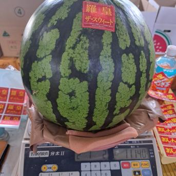 山形県産　すいか　羅皇ザ・スウィート　6Lサイズ　家庭用 すいか　6Lサイズ　1玉 果物/スイカ通販