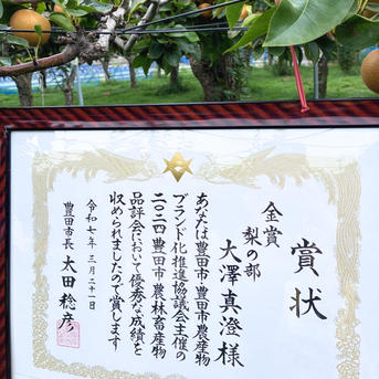 梨 幸水 秀品 5キロ 10個入 ｜ 果物/梨 産直アウル 農家・漁師など生産