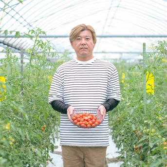『パクパクが止まらないお方専用・大容量約３ｋｇ』完熟厳選のジューシーなミニトマト【スパルタ栽培】 3kg 野菜/トマト通販