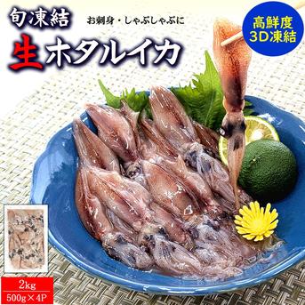 生ほたるいか新物　生食可（冷凍・真空パック）計2ｋｇ（約500g×4パック）【飲食店向け】 計2ｋｇ（500ｇ×4パック） 魚介類/イカ通販