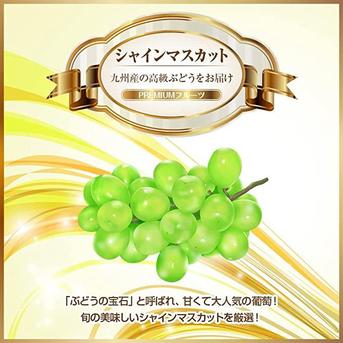 予約販売】シャインマスカット 特A優品 高級 約2kg 3房から6房 002 種 