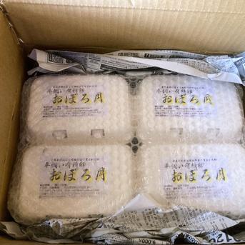 平飼い有精卵 おぼろ月 6個入り×8パック 48個入（45個+割れ補償3個）遠藤農園 埼玉県加須市 後藤もみじ卵 1パック6個入×8パック 48個 卵/鶏卵通販