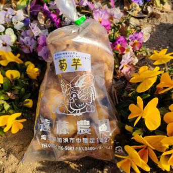 菊芋1kg 洗浄済み 埼玉県加須市 遠藤農園 1kg 野菜/その他野菜通販