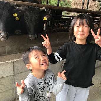 『送料無料』熊野牛・ステーキ2種食べ比べセット！！肉、和牛 1枚130〜140g×2種類 肉/牛肉通販