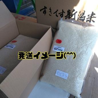 無農薬米新潟県産コシヒカリ15k 特別栽培米新潟県産コシヒカリ15k ｜ 米・穀物/米/精米 産直アウル